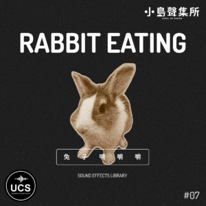 Rabbit Eating